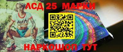 apvp Свободный