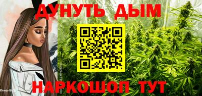 apvp Свободный