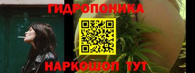 apvp Свободный