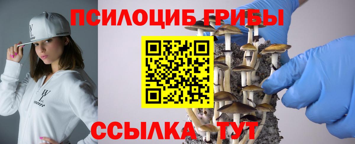 Псилоцибиновые грибы Psilocybe  Вход с VPN  Нурлат 